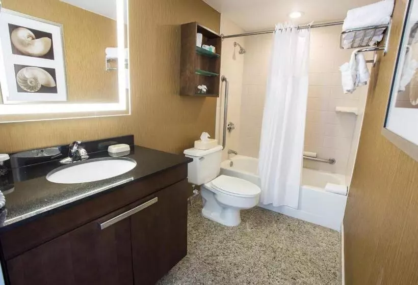 استودیوی لوکس, Boardwalk Resorts   Flagship