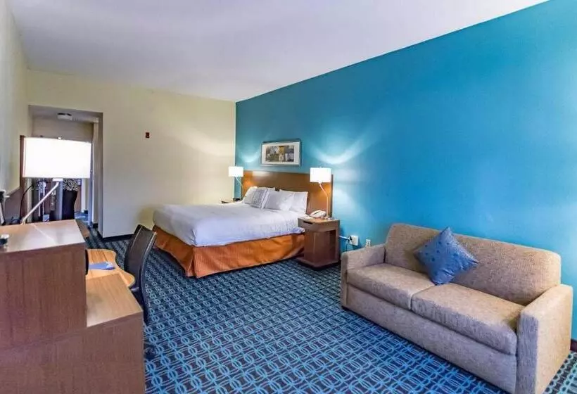 اتاق لوکس با تخت بزرگ, Fairfield Inn Charlotte Northlake