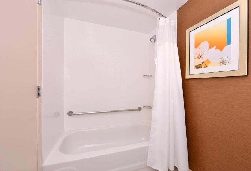 스탠다드 룸 킹사이즈 침대, Fairfield Inn Orlando Airport