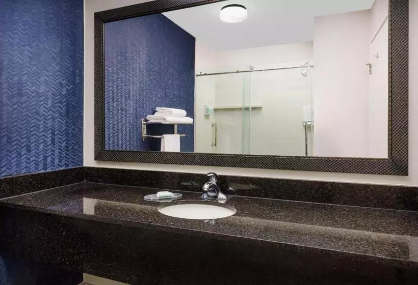 اتاق استاندارد با تخت بزرگ, Fairfield Inn Philadelphia Airport
