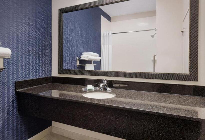 스탠다드 룸 킹사이즈 침대, Fairfield Inn Philadelphia Airport
