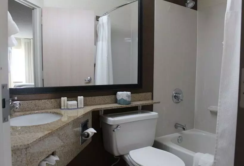 2ダブルベッドのスタンダードルーム, Fairfield Inn & Suites Kansas City Liberty