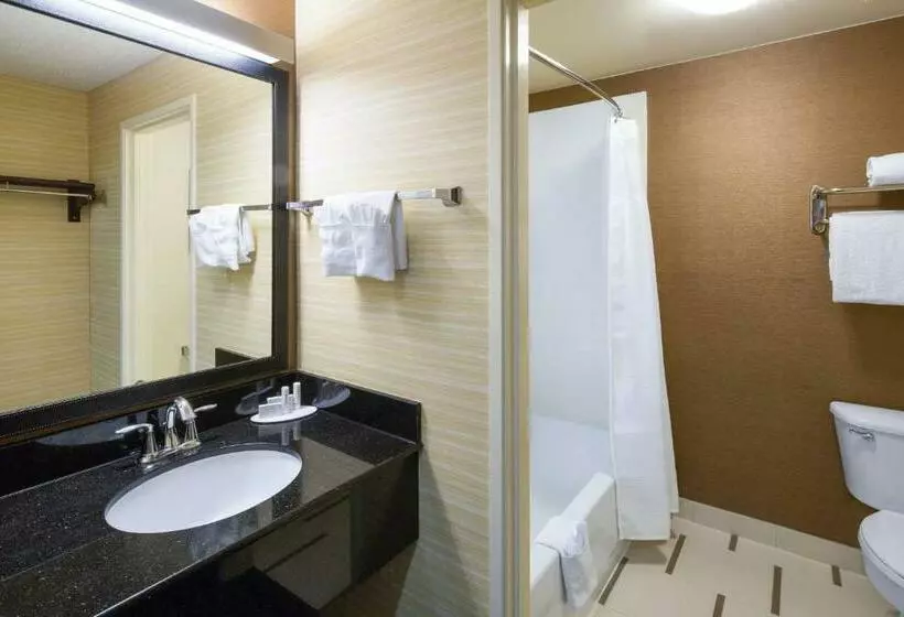 キングサイズベッドのスタンダードルーム, Fairfield Inn & Suites By Marriott San Antonio Airport/north Star Mall