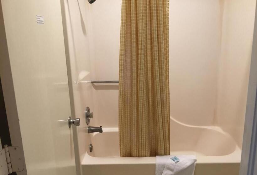 キングサイズベッドのスタンダードルーム, Flamingo Inn