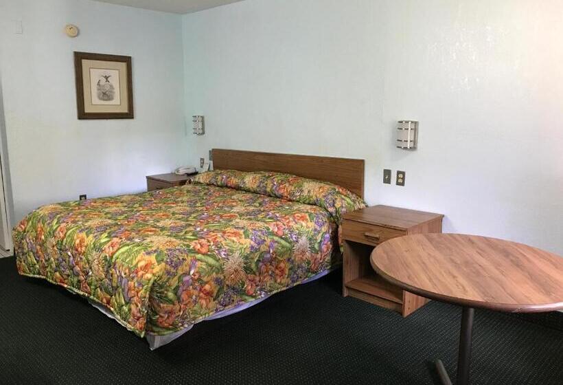 シングルデラックスルーム, Flamingo Inn