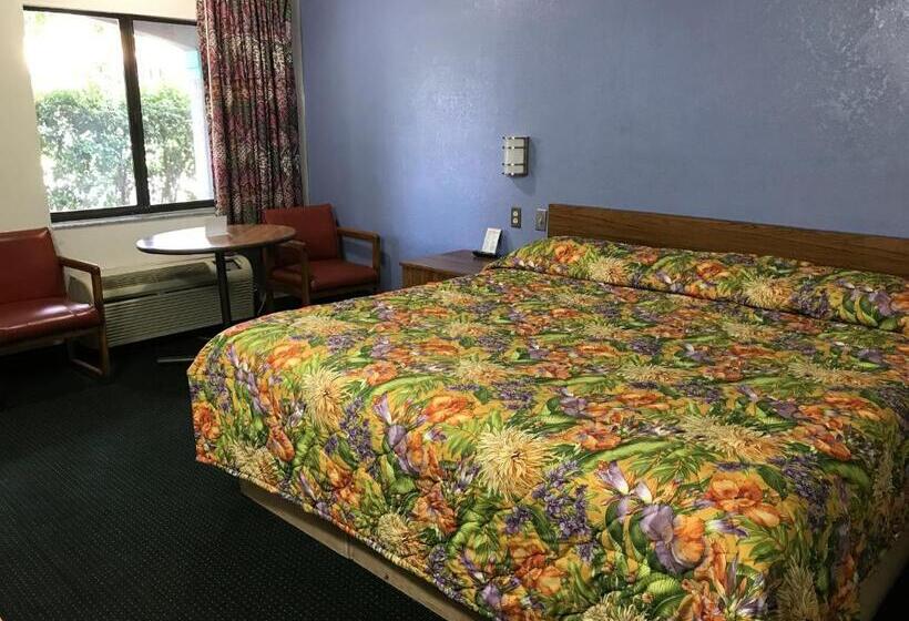 シングルデラックスルーム, Flamingo Inn