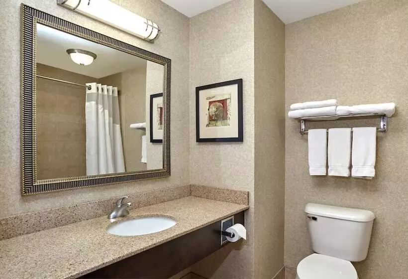 Sviitti, Holiday Inn Express & Suites Madison Verona, An Ihg