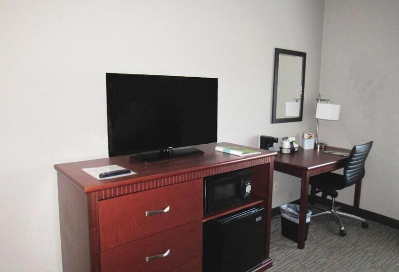 디럭스 룸, Wingate By Wyndham Shreveport Airport