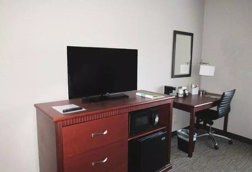 اتاق لوکس, Wingate By Wyndham Shreveport Airport