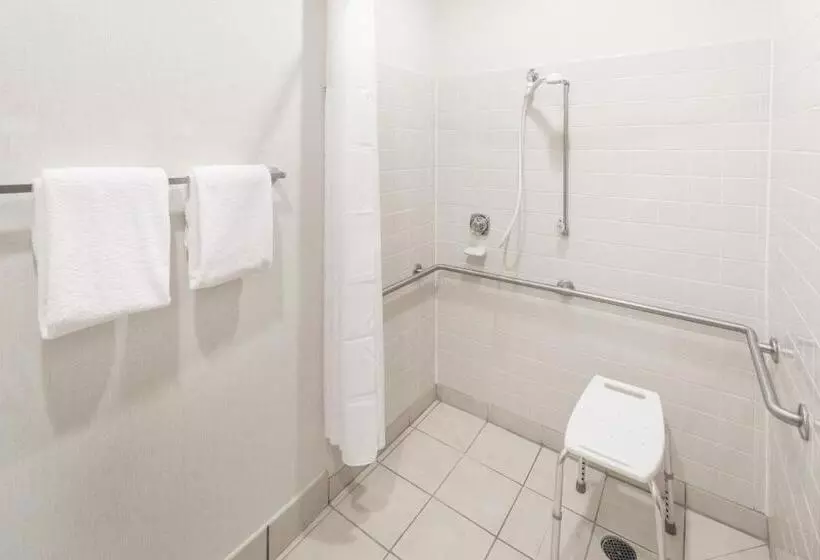 اتاق استاندارد با تخت بزرگ برای معلولان, Wingate By Wyndham Shreveport Airport