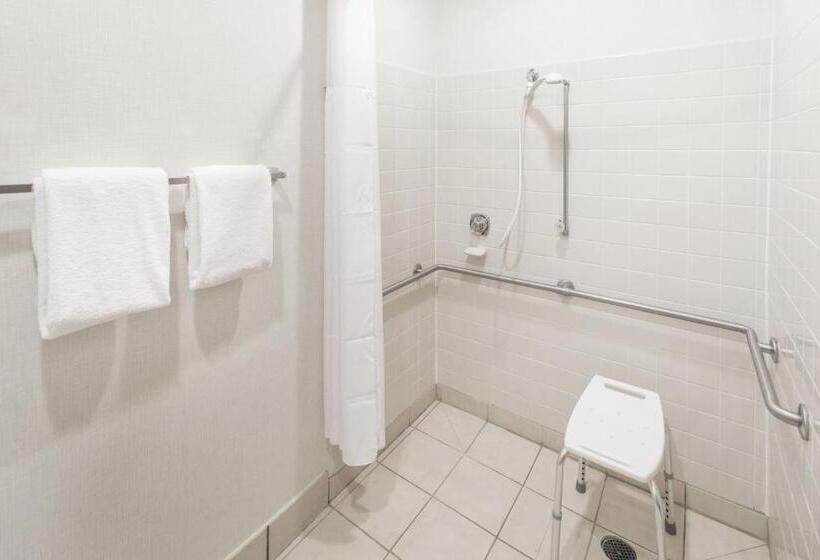 اتاق دلوکس مخصوص معلولین, Wingate By Wyndham Shreveport Airport