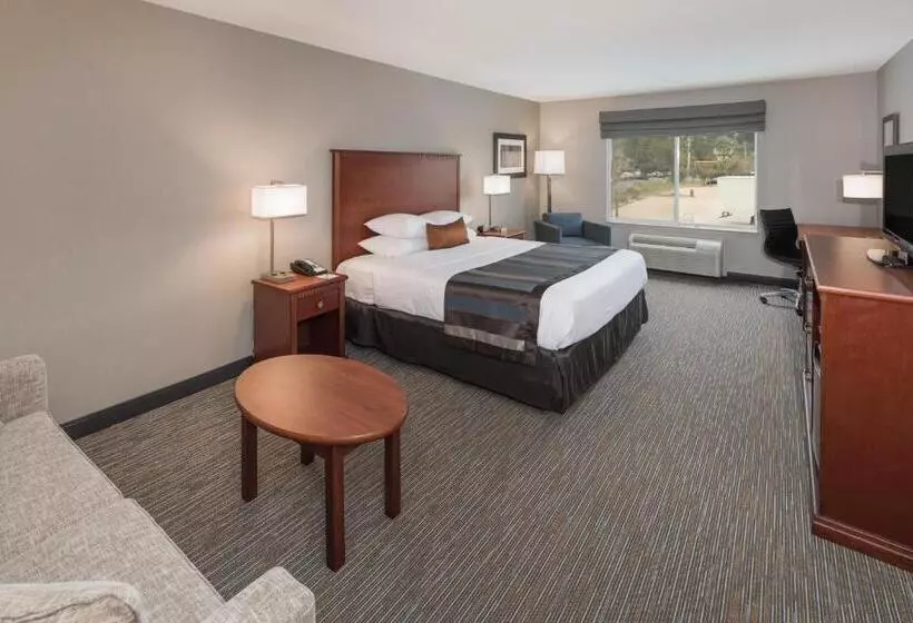 اتاق دلوکس مخصوص معلولین, Wingate By Wyndham Shreveport Airport