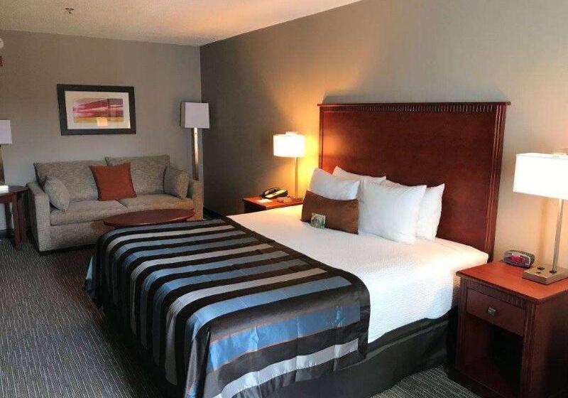 اتاق استاندارد با تخت بزرگ, Wingate By Wyndham Shreveport Airport