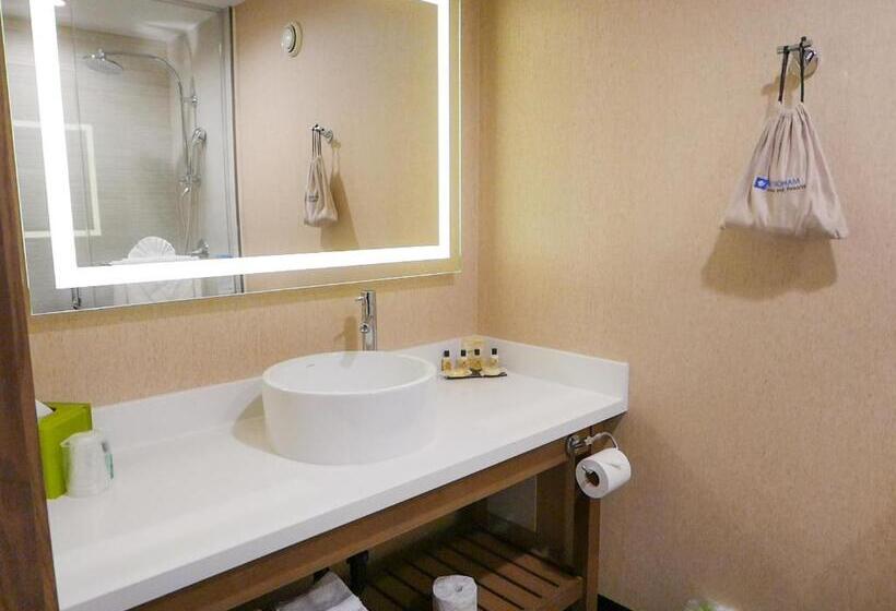 キングサイズベッドのスタンダードルーム, Wyndham Anaheim