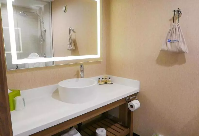 اتاق استاندارد با تخت بزرگ, Wyndham Anaheim
