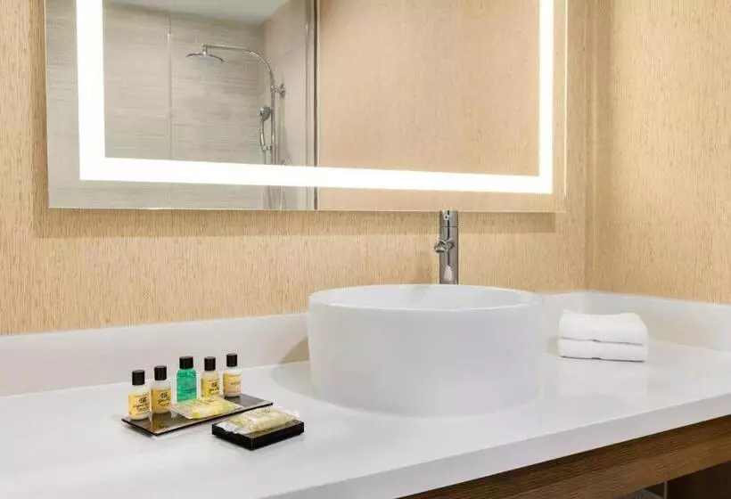 اتاق استاندارد با تخت بزرگ, Wyndham Anaheim