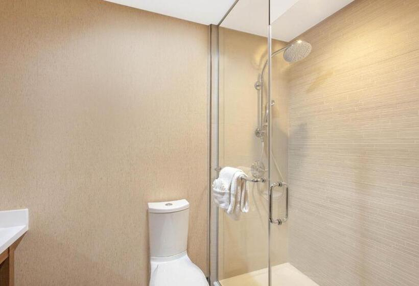 キングサイズベッドのスタンダードルーム, Wyndham Anaheim