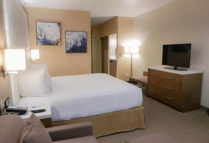 اتاق استاندارد با تخت بزرگ, Wyndham Anaheim