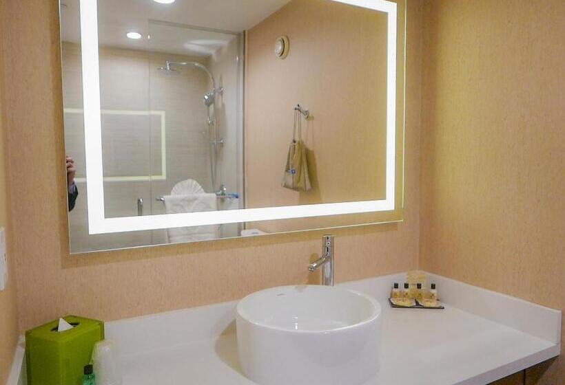 デラックスルーム, Wyndham Anaheim