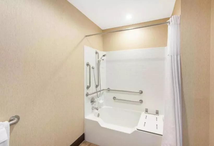 اتاق استاندارد با تخت بزرگ برای معلولان, Wyndham Anaheim