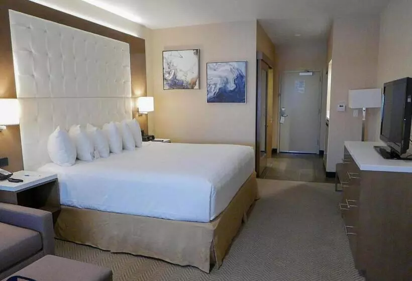 اتاق استاندارد با تخت بزرگ برای معلولان, Wyndham Anaheim