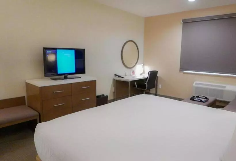 اتاق استاندارد با تخت بزرگ برای معلولان, Wyndham Anaheim