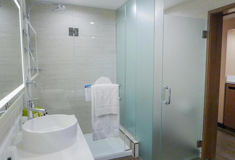 Sviitti King-vuode, Wyndham Anaheim