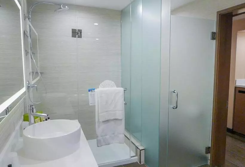 سوئیت با تخت بزرگ, Wyndham Anaheim