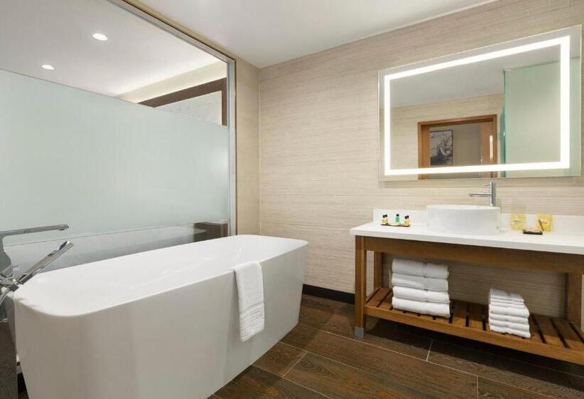 キングサイズベッドのスイートルーム, Wyndham Anaheim