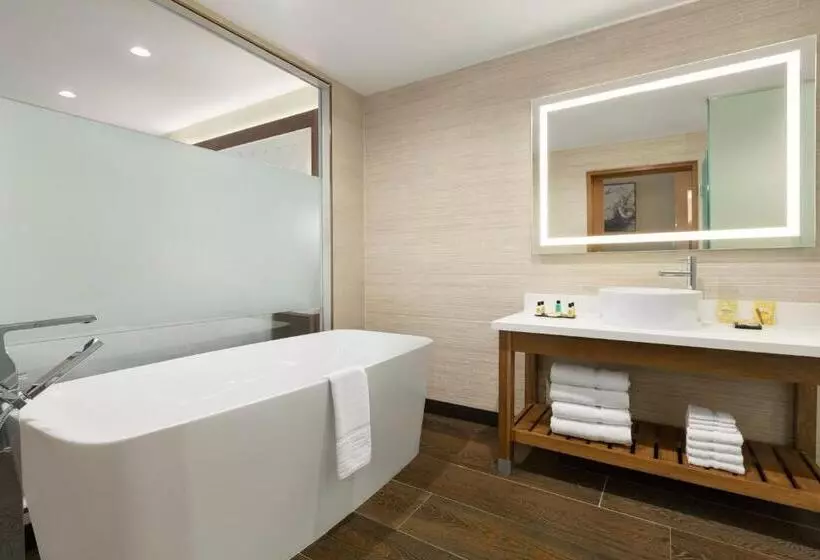سوئیت با تخت بزرگ, Wyndham Anaheim