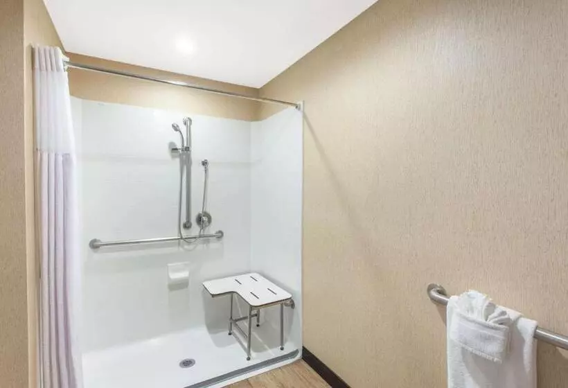 اتاق دلوکس مخصوص معلولین, Wyndham Anaheim