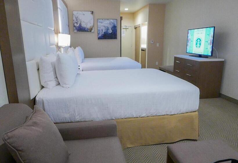Deluxe-huone Soveltuu Liikuntarajoitteisille, Wyndham Anaheim