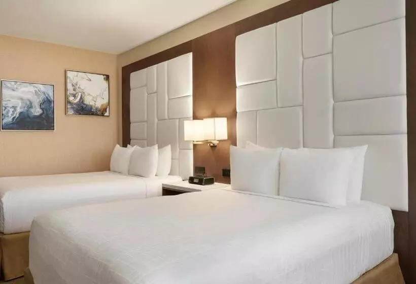 اتاق دلوکس مخصوص معلولین, Wyndham Anaheim