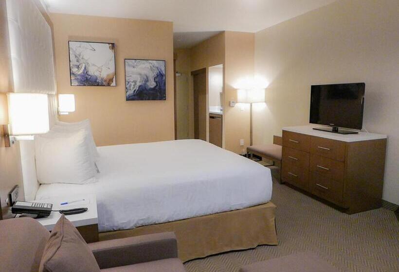 障害者適応デラックスルーム, Wyndham Anaheim