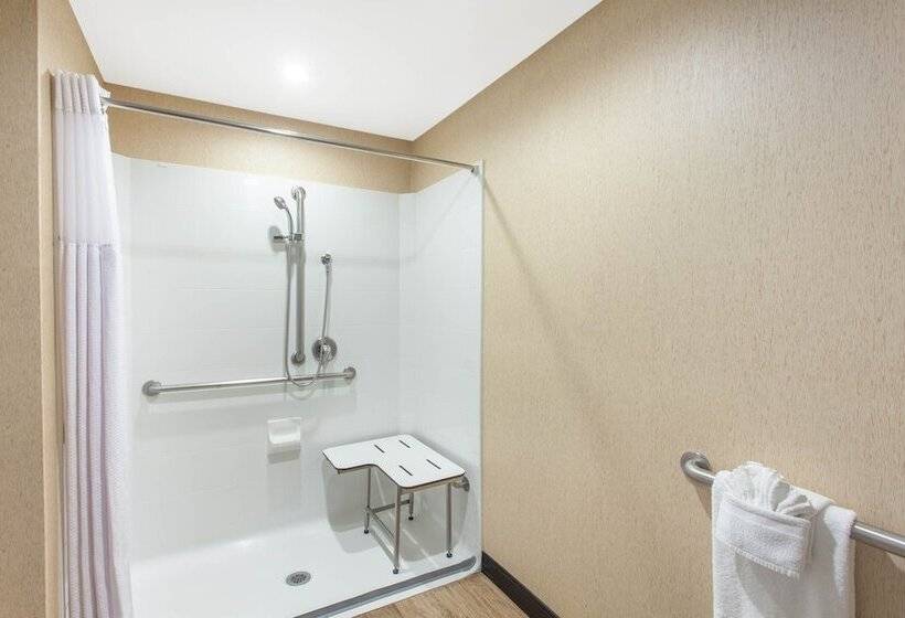 Deluxe-huone Soveltuu Liikuntarajoitteisille, Wyndham Anaheim