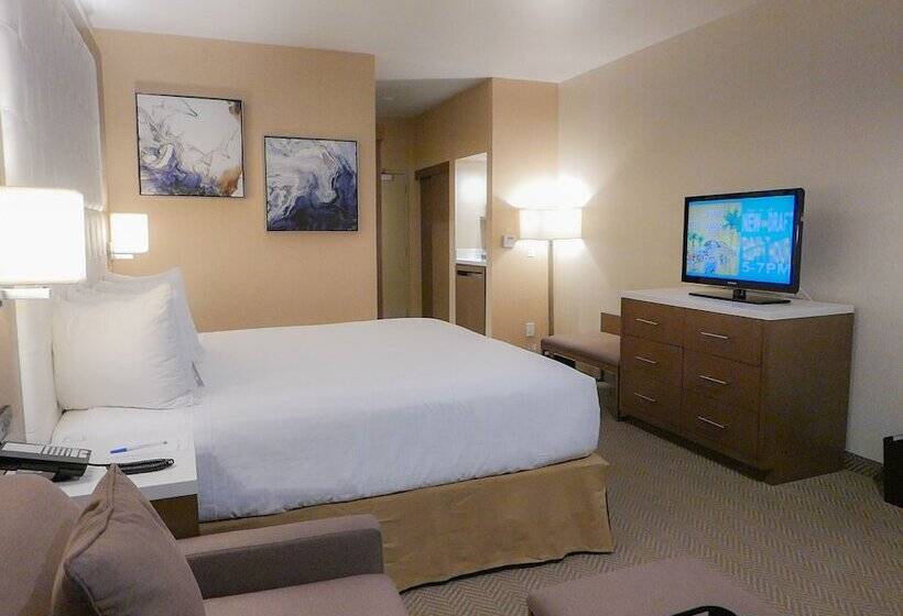 障害者適応デラックスルーム, Wyndham Anaheim