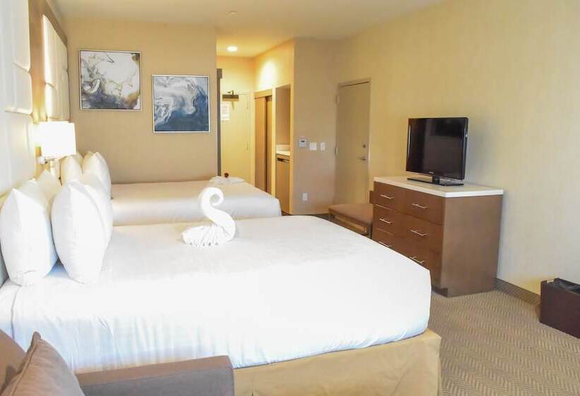 障害者適応デラックスルーム, Wyndham Anaheim