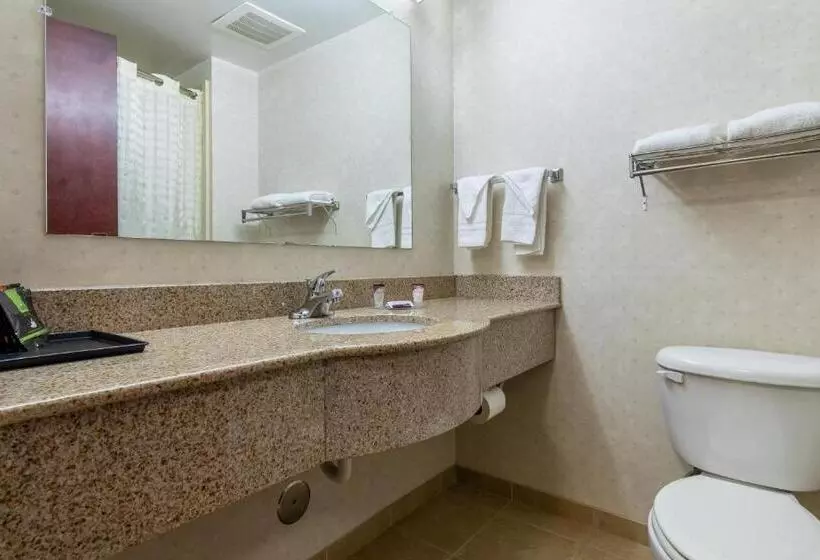 キングサイズベッドのスタンダードルーム, Executive Inn & Suites Upper Marlboro