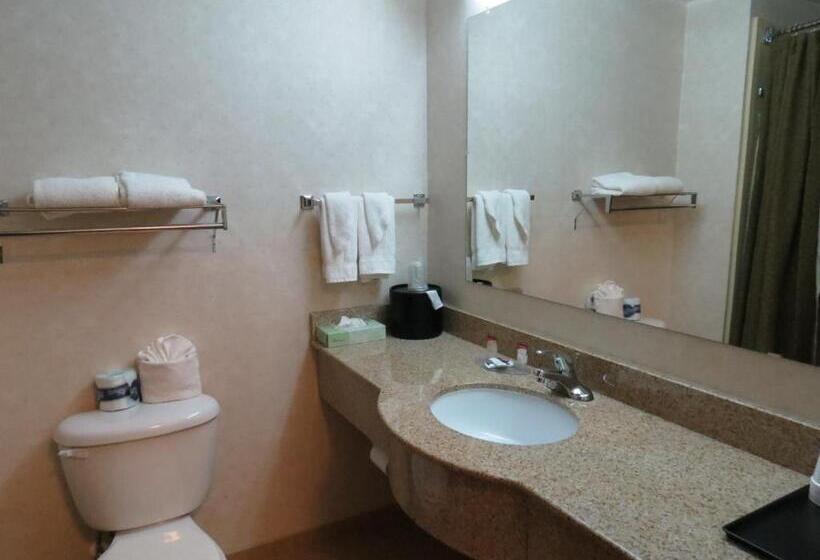 غرفه قياسيه سريرين مزدوجين, Executive Inn & Suites Upper Marlboro