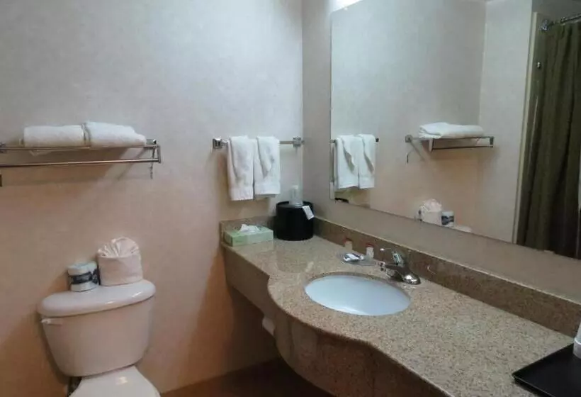 ２ダブルベッドのスタンダードルーム, Executive Inn & Suites Upper Marlboro