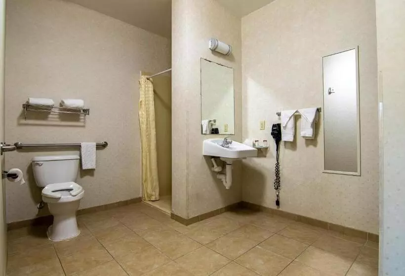 身障者適用キングサイズベッドルーム, Executive Inn & Suites Upper Marlboro