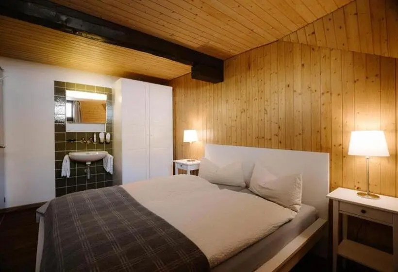 バス共有のスタンダードルーム, Berghotel Engstligenalp