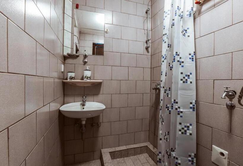 استودیوی استاندارد, Laufer