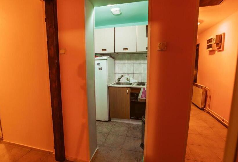 اتاق استاندارد یک نفره, Laufer