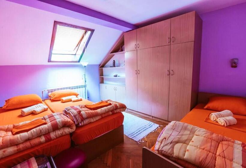 اتاق استاندارد چهارنفره با سرویس بهداشتی مشترک, Laufer