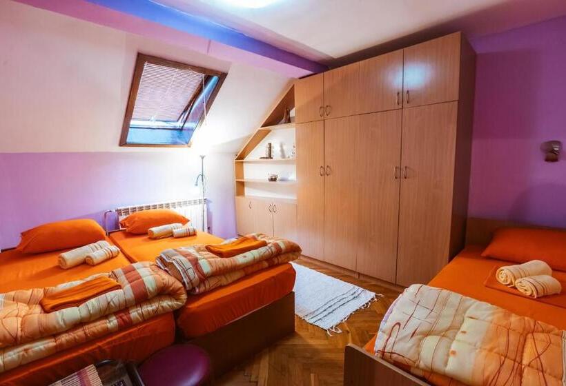 اتاق استاندارد چهارنفره با سرویس بهداشتی مشترک, Laufer