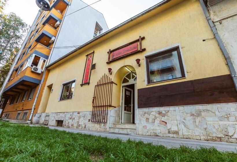 اتاق استاندارد چهارنفره با سرویس بهداشتی مشترک, Laufer