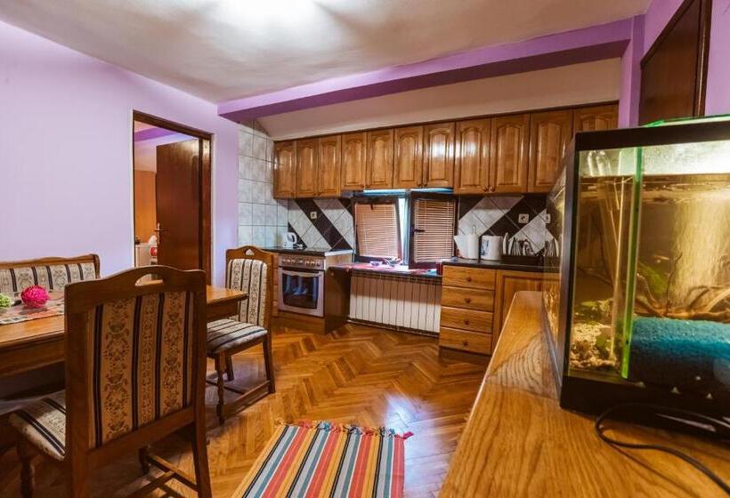 استودیو خانوادگی, Laufer