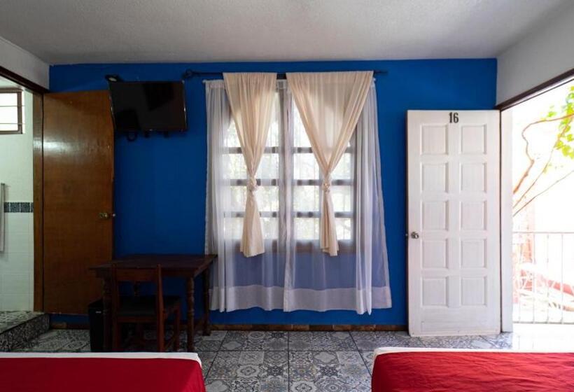 غرفة قياسية, Posada Bugambilias