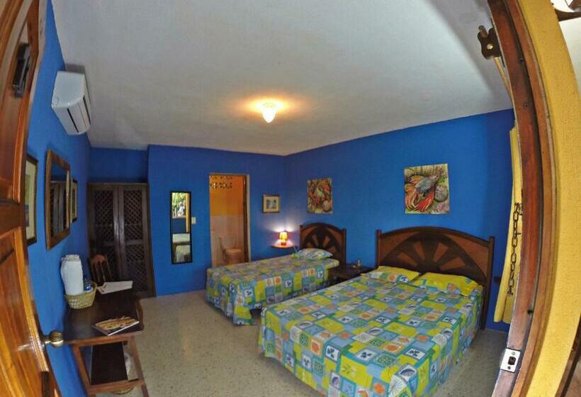 Superior Room, Cafe Del Sol